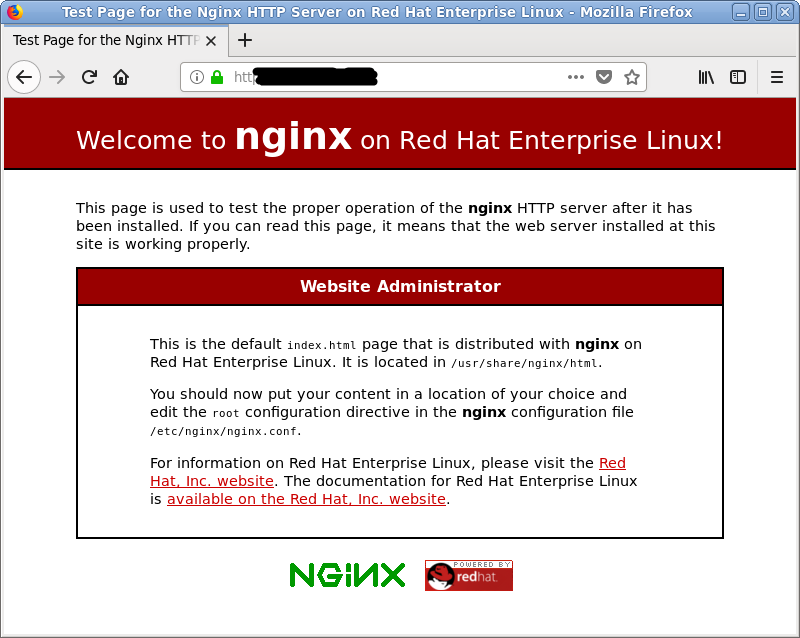 nginx test page